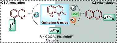 Graphical abstract: The direct C–H alkenylation of quinoline N-oxides as a suitable strategy for the synthesis of promising antiparasitic drugs