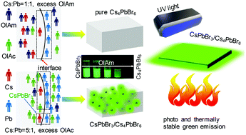 Graphical abstract: Highly stable hetero-structured green-emitting cesium lead bromide nanocrystals via ligand-mediated phase control