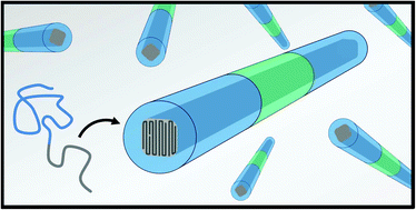 Graphical abstract: A guide to supramolecular polymerizations