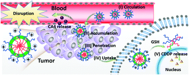 Graphical abstract: Rational design of drug delivery systems for potential programmable drug release and improved therapeutic effect