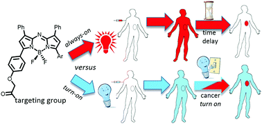 Graphical abstract: RGD conjugated cell uptake off to on responsive NIR-AZA fluorophores: applications toward intraoperative fluorescence guided surgery