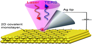 Graphical abstract: Tip-enhanced Raman spectroscopy for structural analysis of two-dimensional covalent monolayers synthesized on water and on Au (111)