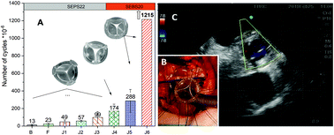 Graphical abstract: Design, development, testing at ISO standards and in vivo feasibility study of a novel polymeric heart valve prosthesis