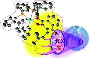 Graphical abstract: Ru(ii)-Naphthoquinone complexes with high selectivity for triple-negative breast cancer