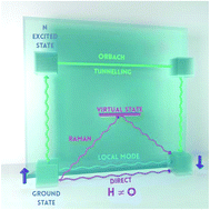 Graphical abstract: Spin dynamics in single-molecule magnets and molecular qubits