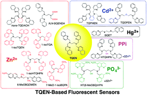 Graphical abstract: Quinoline- and isoquinoline-derived ligand design on TQEN (N,N,N′,N′-tetrakis(2-quinolylmethyl)ethylenediamine) platform for fluorescent sensing of specific metal ions and phosphate species