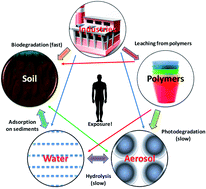 Graphical abstract: Phthalate pollution: environmental fate and cumulative human exposure index using the multivariate analysis approach