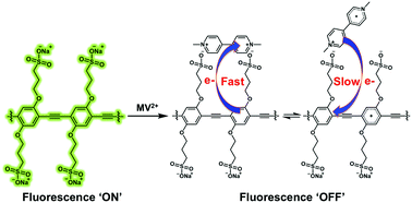 Graphical abstract: Ultrafast photoinduced electron transfer in conjugated polyelectrolyte–acceptor ion pair complexes