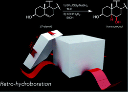 Graphical abstract: trans-Hydroboration–oxidation products in Δ5-steroids via a hydroboration-retro-hydroboration mechanism