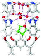 Graphical abstract: Recognition of hydrophilic molecules in deep cavitand hosts with water-mediated hydrogen bonds