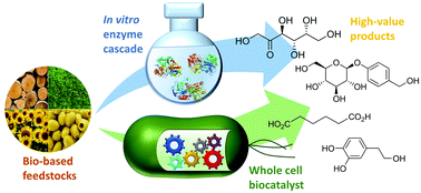 Graphical abstract: Recent advances in (chemo)enzymatic cascades for upgrading bio-based resources