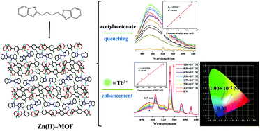 Graphical abstract: A robust 3D zinc(ii)–organic framework for efficient dual detection of acetylacetone and Tb3+ ions