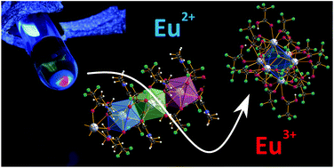 Graphical abstract: Oxidation of europium with ammonium perfluorocarboxylates in liquid ammonia: pathways to europium(ii) carboxylates and hexanuclear europium(iii) fluoridocarboxylate complexes