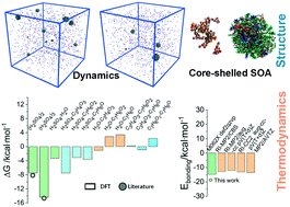 Graphical abstract: A theoretical perspective on the structure and thermodynamics of secondary organic aerosols from toluene: molecular hierarchical synergistic effects