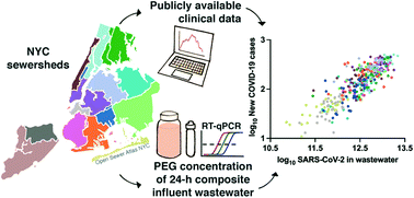 Graphical abstract: Monitoring SARS-CoV-2 in wastewater during New York City's second wave of COVID-19: sewershed-level trends and relationships to publicly available clinical testing data