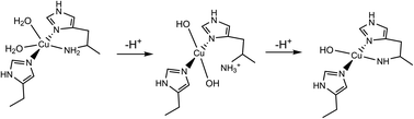 Graphical abstract: Mapping the protonation states of the histidine brace in an AA10 lytic polysaccharide monooxygenase using CW-EPR spectroscopy and DFT calculations