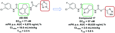 Graphical abstract: The identification of highly efficacious functionalised tetrahydrocyclopenta[c]pyrroles as inhibitors of HBV viral replication through modulation of HBV capsid assembly