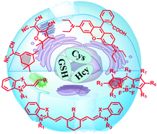 Graphical abstract: Recent research progress of red-emitting/near-infrared fluorescent probes for biothiols