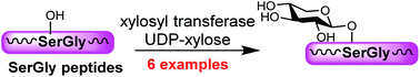 Graphical abstract: Exploration of human xylosyltransferase for chemoenzymatic synthesis of proteoglycan linkage region