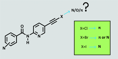 Graphical abstract: Intermolecular binding preferences of haloethynyl halogen-bond donors as a function of molecular electrostatic potentials in a family of N-(pyridin-2-yl)amides