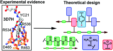 Graphical abstract: Glutamate carboxypeptidase II as a model system for designing host–guest units: a theoretical approach