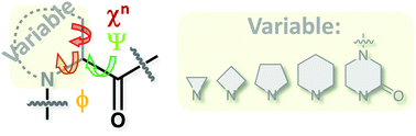 Graphical abstract: Recent developments in the utility of saturated azaheterocycles in peptidomimetics