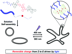 Graphical abstract: On-demand shape transformation of polymer vesicles via site-specific isomerization of hydrazone photoswitches in monodisperse hydrophobic oligomers