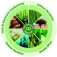 Graphical abstract: Sustainable bio-derived materials for addressing critical problems of next-generation high-capacity lithium-ion batteries