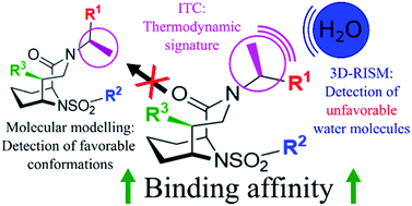 Graphical abstract: Picomolar FKBP inhibitors enabled by a single water-displacing methyl group in bicyclic [4.3.1] aza-amides