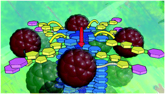 Graphical abstract: The liquid crystal Click procedure for oligothiophene-tethered phthalocyanines – self-assembly, alignment and photocurrent