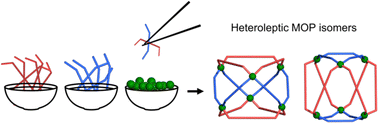 Graphical abstract: Synthesis of the two isomers of heteroleptic Rh12L6L′6 metal–organic polyhedra by screening of complementary linkers
