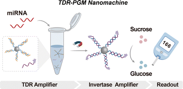 Graphical abstract: An entropy-driven DNA nanomachine for microRNA detection using a personal glucose meter
