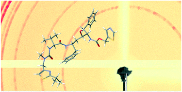 Graphical abstract: SDPD-SX: combining a single crystal X-ray diffraction setup with advanced powder data structure determination for use in early stage drug discovery