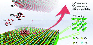 Graphical abstract: Critical role of acceptor dopants in designing highly stable and compatible proton-conducting electrolytes for reversible solid oxide cells