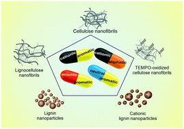 Graphical abstract: Systematic investigation of the adsorption potential of lignin- and cellulose-based nanomaterials towards pharmaceuticals