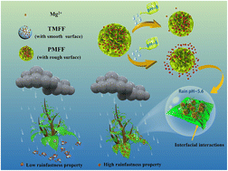 Graphical abstract: In situ construction of a magnesium foliar fertilizer with pH-controlled release and high adhesion capacity
