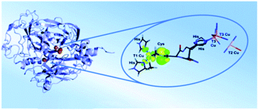 Graphical abstract: Concluding remarks: discussion on natural and artificial enzymes including synthetic models