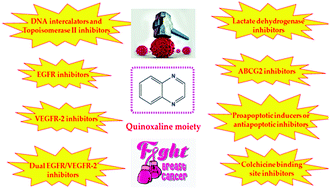 Graphical abstract: Quinoxaline derivatives as a promising scaffold for breast cancer treatment