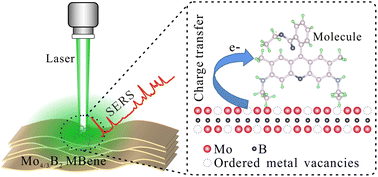 Graphical abstract: Two-dimensional MBenes with ordered metal vacancies for surface-enhanced Raman scattering