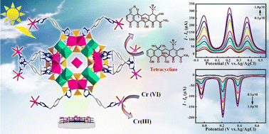 Graphical abstract: Wheel-shaped molybdenum(v) cobalt-phosphate cluster as a highly sensitive bifunctional photoelectrochemical sensor for the trace determination of Cr(vi) and tetracycline