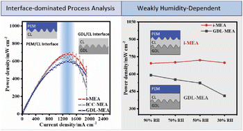 Graphical abstract: Designing a membrane electrode assembly for weakly humidity-dependent proton exchange membrane fuel cells