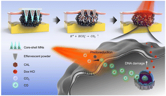 Graphical abstract: A photocatalytic carbon monoxide-generating effervescent microneedle patch for improved transdermal chemotherapy