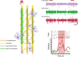 Graphical abstract: Electrodeposited NaYF4:Yb3+, Er3+ up-conversion films for flexible neural device construction and near-infrared optogenetics