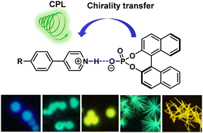 Graphical abstract: Organic microspheres and microcrystals made from pyridine-functionalized chromophores and a chiral phosphoric acid