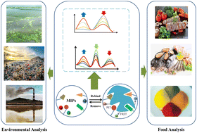 Graphical abstract: Molecular imprinting-based ratiometric fluorescence sensors for environmental and food analysis