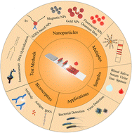 Graphical abstract: Lateral flow assay of pathogenic viruses and bacteria in healthcare