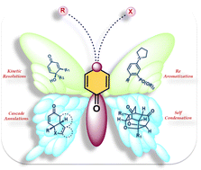 Graphical abstract: Site-selective and stereoselective transformations on p-quinols & p-quinamines