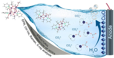 Graphical abstract: Copper(ii) defect-cubane water oxidation electrocatalysts: from molecular tetramers to oxidic nanostructures