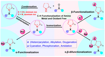 Graphical abstract: Iminium and azonium-activated metal and oxidant-free C–H functionalization of aliphatic amines