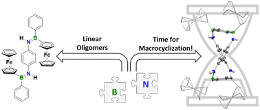 Graphical abstract: Linear and macrocyclic oligo(p-phenylene iminoboranes) with ferrocenyl side groups – observation of selective, non-templated macrocyclization